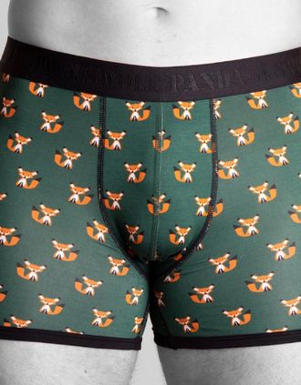 Swole Panda Mens Foxes Bamboo Boxer Brief, Green/black - Size: XL 36-40 / 92-102cm