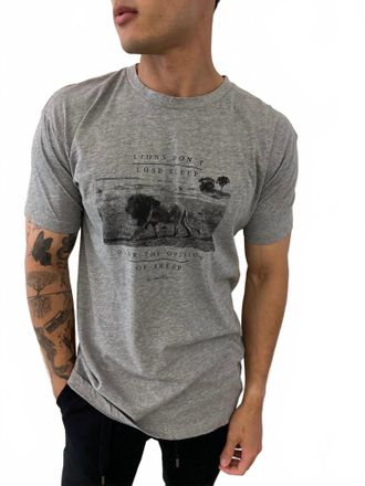 Kinetix Lions Dont Lose Sleep Graphic Tee In Grey