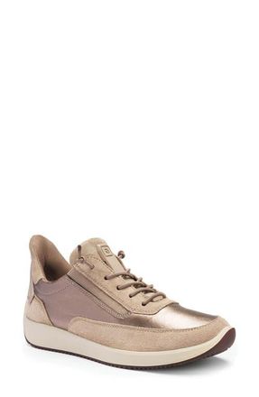 Ara Lysa Low Top Sneaker in Cashmere at Nordstrom, Size 8.5