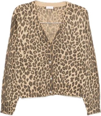 Liu Jo Cropped Leopard Print Knit Sweater With V-Neck