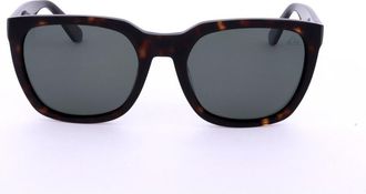 Quiksilver Mens Brown Square Sunglasses QS4013