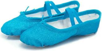 Generic GLDFW Glitter Ballet Yoga Gym Flat Slippers Pink Blue Rose Red Colors Ballet Dance Shoes Girls Children Women Teacher