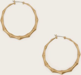 AllSaints Brass Clara Medium Hoop Earrings, Size: One Size