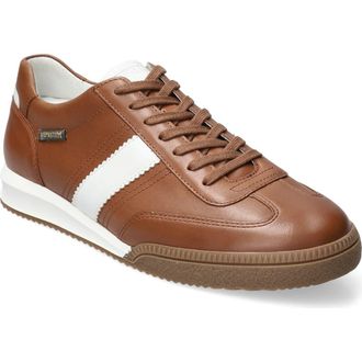 Mephisto Elyo Sneaker in Hazelnut at Nordstrom, Size 12.5