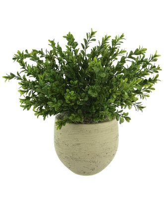 Creative Displays Inc. Outdoor Uv-Rated Boxwood In Fiberstone Pot