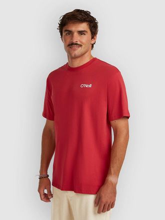 O'Neill Polygiene Cotton Graphic T-Shirt gr&uuml;n