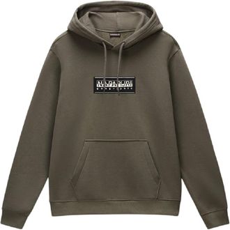 Napapijri Heren-hoodie van katoen met boxlogo en losse pasvorm (Thee)