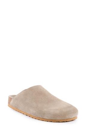 Seychelles Feels Like Home Mule in Taupe at Nordstrom Rack, Size 7.5
