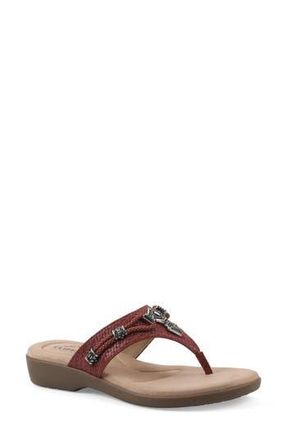 White Mountain Bainah Thong Sandal in Red/Woven at Nordstrom Rack, Size 7.5