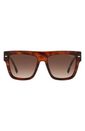 Carrera 55mm Flat Top Sunglasses in Brown Horn/Brown Gradient at Nordstrom