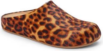 Matisse Footwear Daria Genuine Calf Hair Mule in Leopard at Nordstrom, Size 10