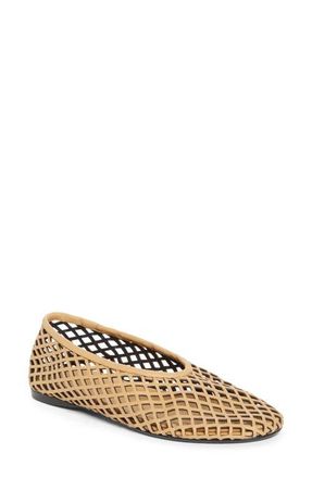 Proenza Schouler Tee Perforated Ballet Flat in Mud at Nordstrom, Size 10.5Us