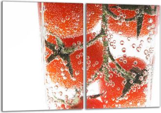 OEM Placa Protectora De Vidrio Para Estufa 2x40x52 Tomate