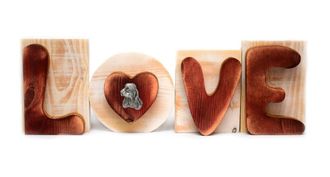 OEM Cocker Spaniel Ingl&eacute;s - Letrero De Madera Love, Decoraci&oacute;n De Interiores Con Un Perro, Encantadora Decoraci&oacute;n De Estanter&iacute;a De Art-dog