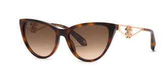 Roberto Cavalli SRC158M 9AJK Mens Sunglasses Tortoiseshell Size 54