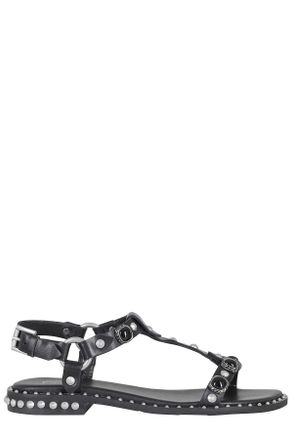 Ash Black Podium Applied Studs Buckle Leather Flat Sandals