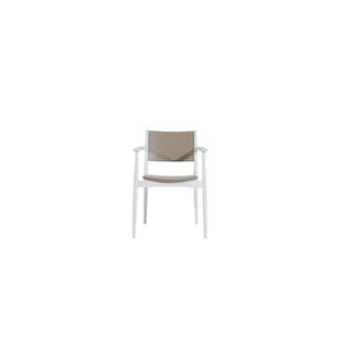 OEM Sedia C/braccioli Seginus Capp-bia