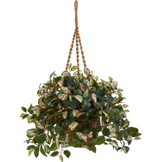 Nearly Natural Hoya Artificial Plant Hanging Basket in Green at Nordstrom