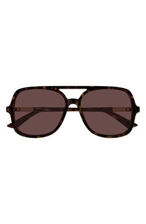 Chlo&eacute; 57mm Navigator Sunglasses in Shiny Dark Havana at Nordstrom