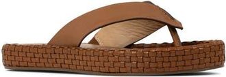 Donald J Pliner Dasara Platform Flip Flop in Tobacco at Nordstrom, Size 6.5