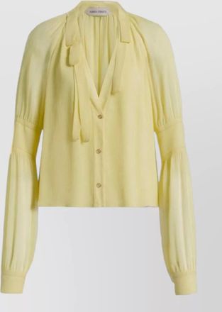 Alberta Ferretti long sleeve sheer shirt tie neck