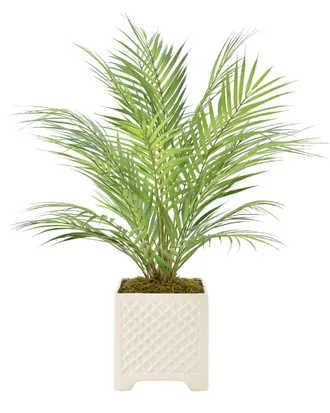 Creative Displays Inc. Areca Palm Plant
