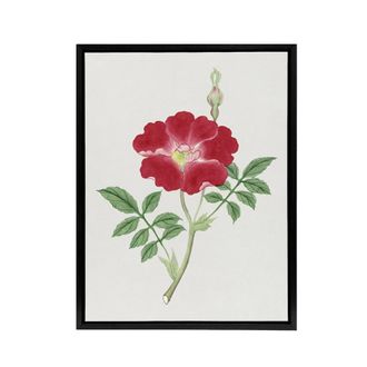 Artery8 Red Flower Framed Canvas Wall Art Print Vintage Japanese Botanical | Size: W24 x H32