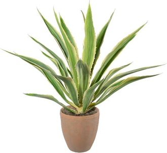 Gasper Kunstpflanze Agave im Terracottatopf, Grüncreme H: 85 cm