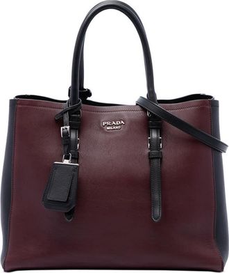 Prada Pre-owned Prada Medium Bicolor City Calf Double Satchel Ladies SRBECT2KE8ZOISB9
