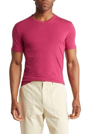 T.R. Premium Solid V-Neck T-Shirt in Plum at Nordstrom Rack, Size Xx-Large