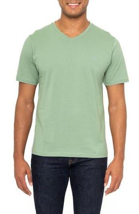 Vella Pais Montpellier V-Neck Cotton T-Shirt in Green at Nordstrom Rack, Size Xxx-Large