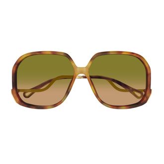 Chlo&eacute; Havana Gold Green Ch0404S Acetate Square Sunglasses