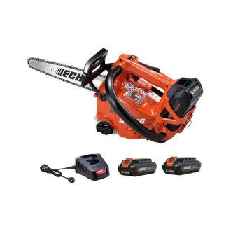 Echo Motosega a batteria da pota DCS-2500T con 2 batterie 2Ah e carica