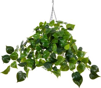 Nearly Natural 24-in UV Resistant Artificial Philodendron with 50 Warm White LED Lights in White Hanging Basket in Green at Nordstrom
