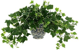 Creative Displays Inc. Ivy Arrangement In A Decorative Ceramic Pot