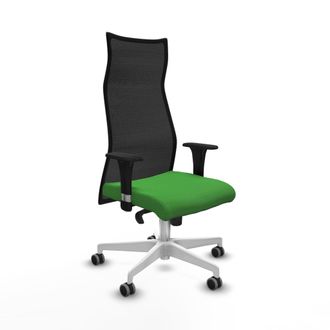 Piqueras y Crespo Silla De Oficina Albacete Piqueras Y Crespo B1c026g Verde