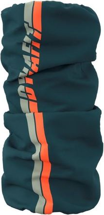 Dynafit Graphic Neck Gaiter Halstuch - Unisex | blau
