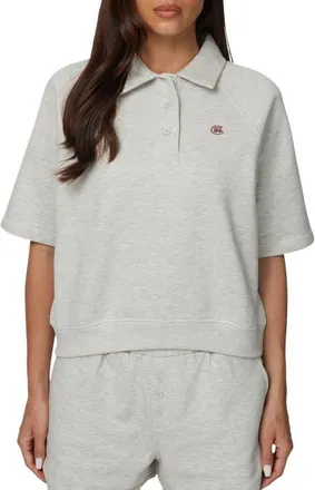 Good For Nothing Boxy-Fit Raglan Sweat Polo in Grey at Nordstrom, Size X-Small