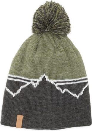 Rainforest Mountain Stripe Pom Beanie in Olive Green Hthr/chr Hth Com at Nordstrom Rack
