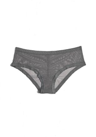 Blush Lingerie Mesh Lace Trim Hipster Panty In Lunar