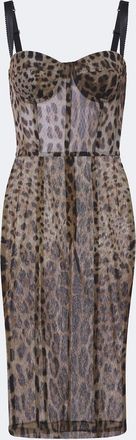Dolce & Gabbana Leopard-print cotton and silk bustier dress