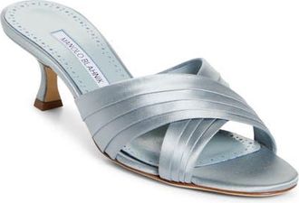 Manolo Blahnik Vieramul Slide Sandal in Blue at Nordstrom, Size 8.5Us