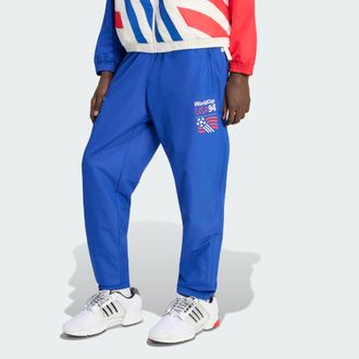 adidas adidas Performance Mens Graphic Woven Track Pants - Sapphire