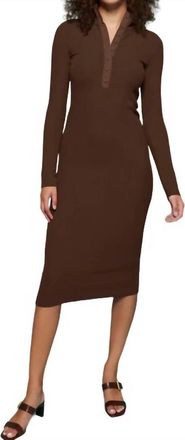 Nation Ltd Phoebe Turtleneck Dress In Dark Chocolate