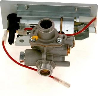 Bosch Grifo De Gas, 87070110610