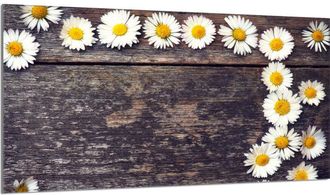 OEM Placa De Protecci&oacute;n De Estufa De Vidrio 90x52 Le&ntilde;a