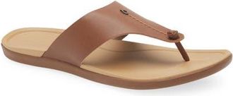 Olukai Hoopio Mele Flip Flop in Toffee /Warm Sand at Nordstrom, Size 10