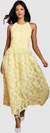 Coast Petite Halterneck Lace Midi Dress in Butter at Nordstrom, Size 12