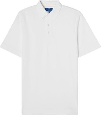 Robert Talbott Walker Short Sleeve Polo in White at Nordstrom, Size Xx-Large