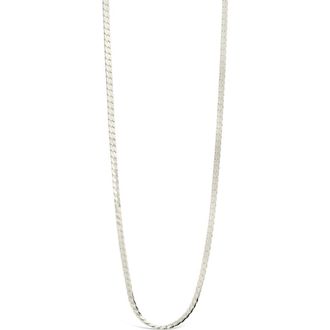 Sterling Forever Bentley Chain Necklace in Silver at Nordstrom Rack